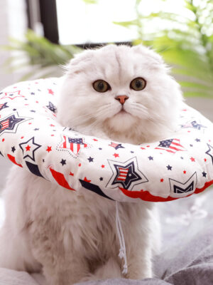 Cat Headgear Cat Toy Anti-bite Ring