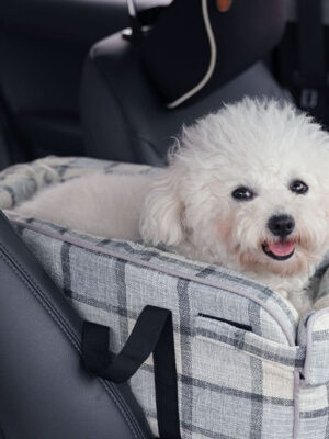 Car Central Control Pet Bags For Travel Breathable