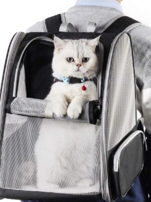 Innovative Traveler Bubble Backpack Pet Carriers For Cats And Dogs