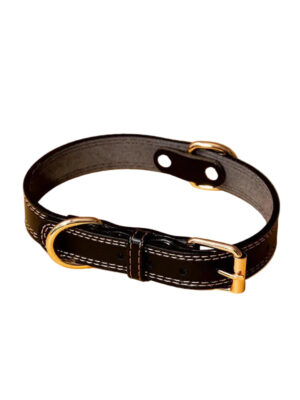 Waterproof Studded Brown Black Puppy Dog Collar