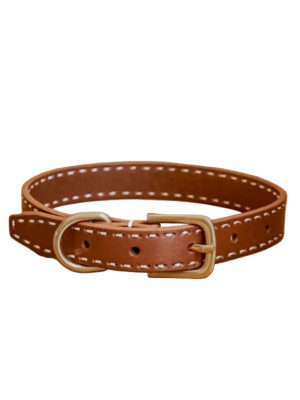 Durable Leather Collar for Large Dogs