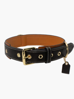 Leather Dog Collar with Decorative Charm