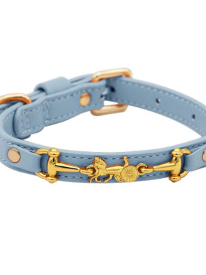 Leather Dog Collar and Leash