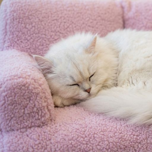 Serene Spot Cosy Sofa Pet Bed