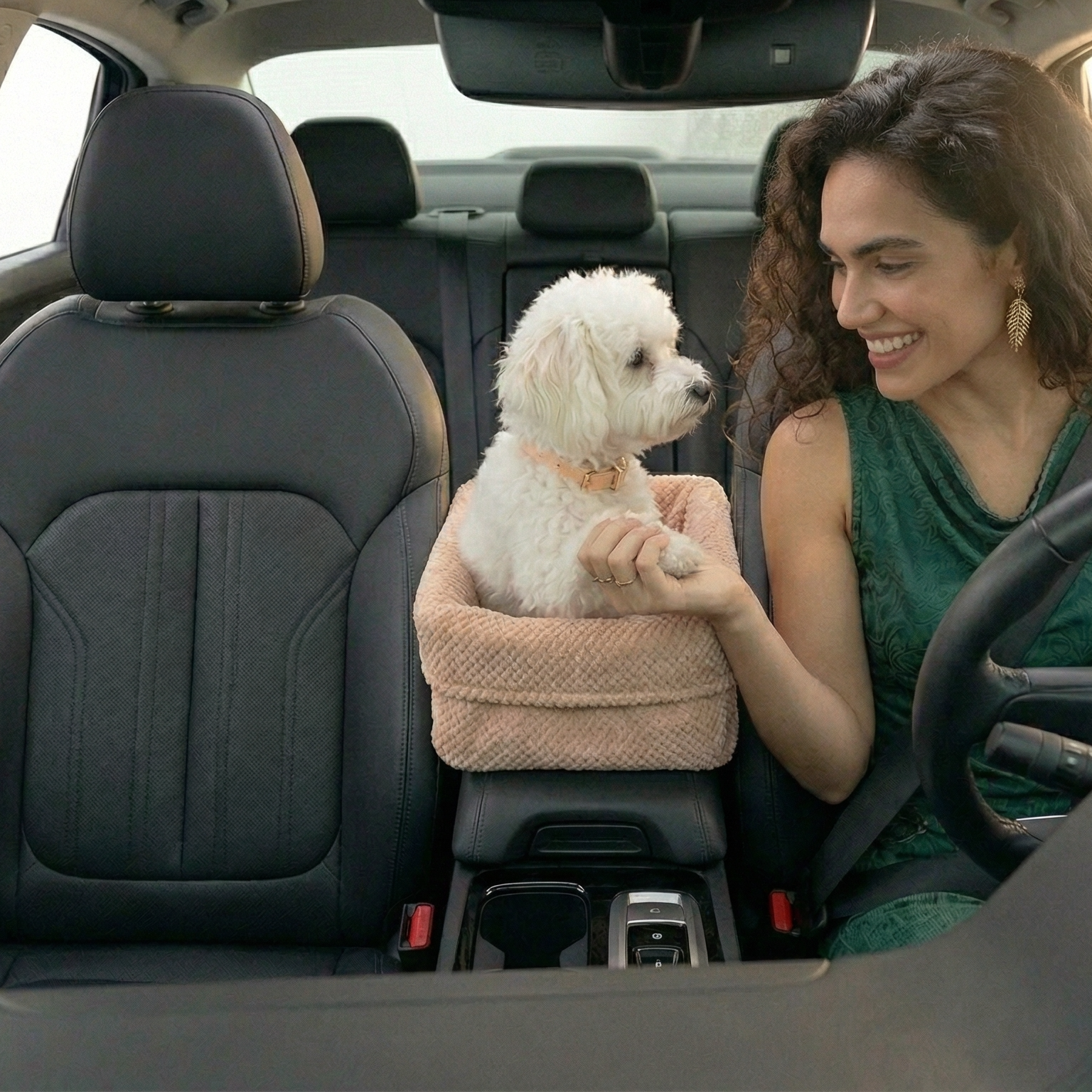 Portable Non-Slip Safety Pet Travel Carrier
