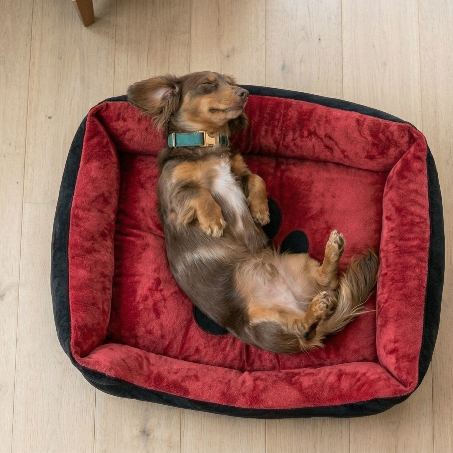 Cosy Nest Candy Kennel Large Pet Bed