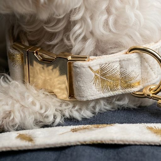 Gold Feather White Velvet Detachable Dog Collar