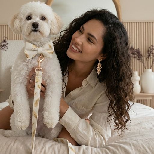 Gold Feather White Velvet Detachable Dog Collar
