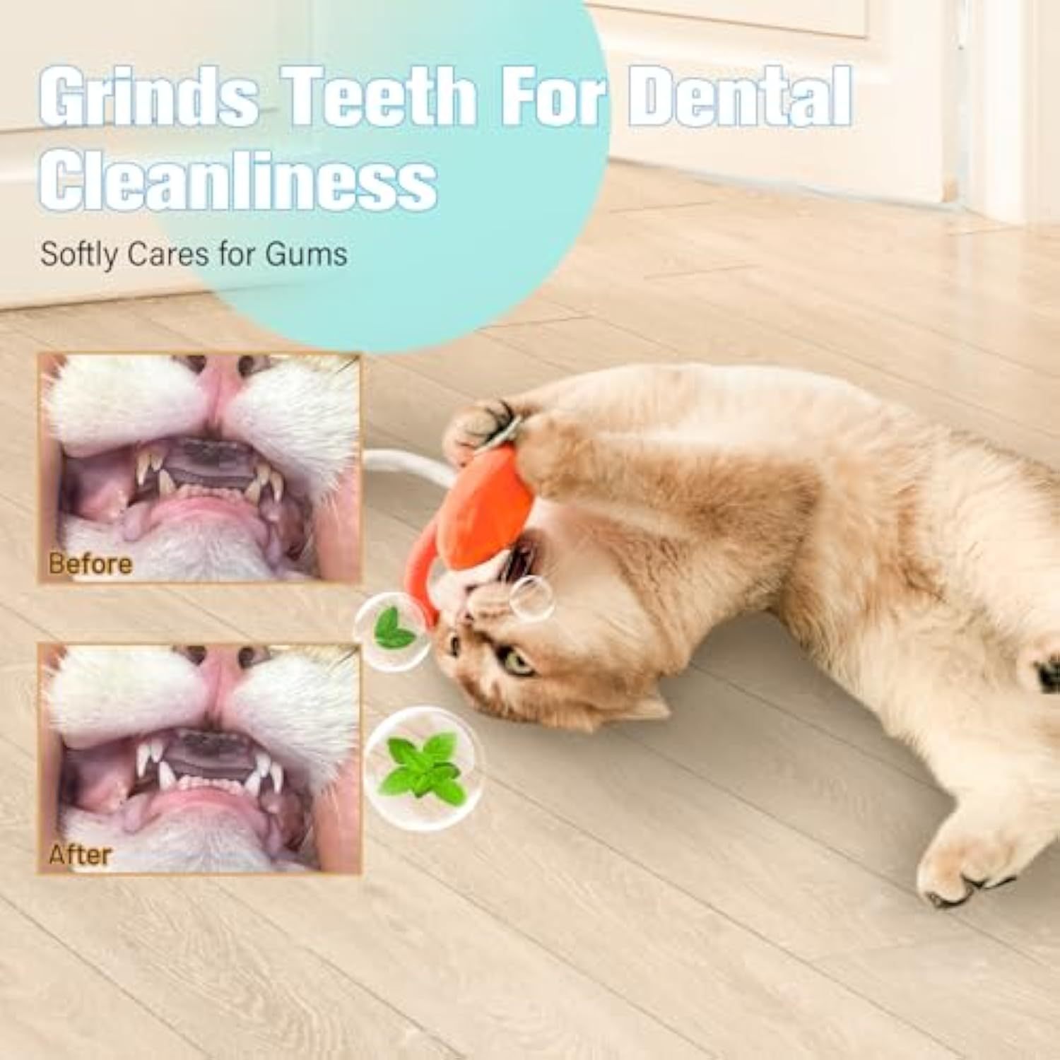 Sisal Rope Cat Toys Safe Catnip Toys Without Wire Cat Toys For Bored Indoor Cats Dental Kitty Chew Toys With Silvervine Gall Fruit,Bite-Resistant Teeth Clean Chew Cat Toy,kitty Toys - Image 4