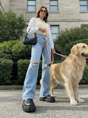 Pet Leashes