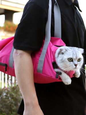 Cat Travel Bag Double Lined Anti Scratch And Bite Pet Bags