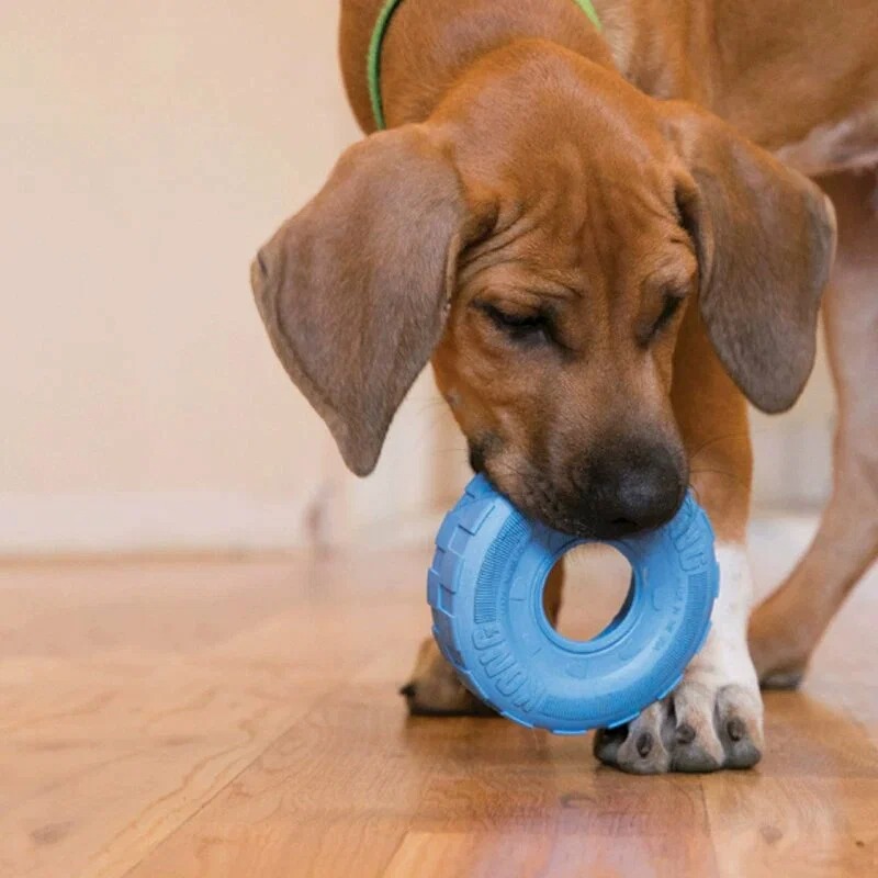 Pet toys and accessories