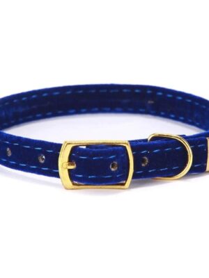 Cloud Collar with Gold Bell Detail