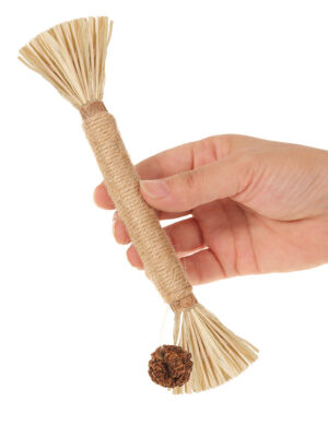 Silvervine Cat Snack and Chew Toy