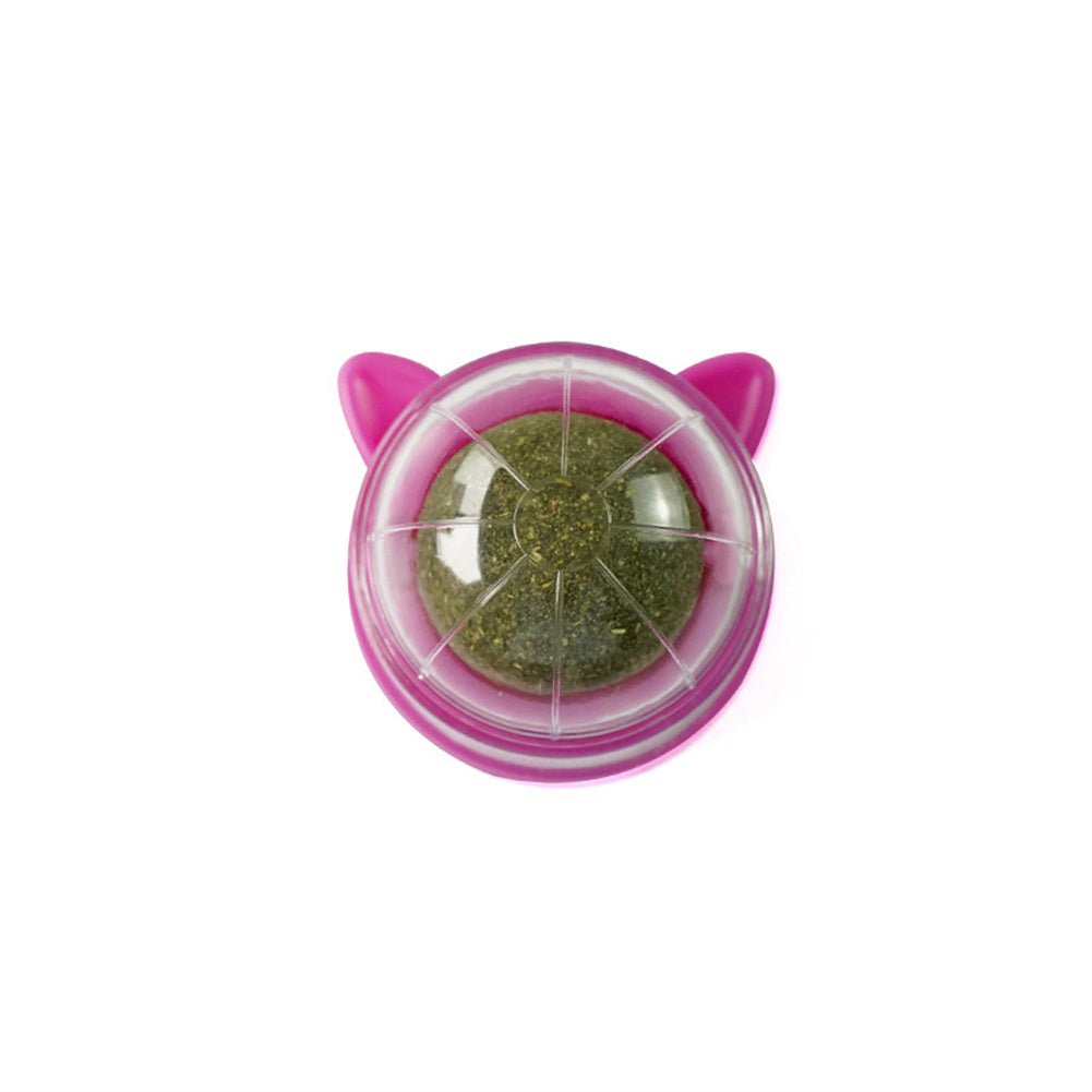Wall-Mounted Chew Ball Dog Toy