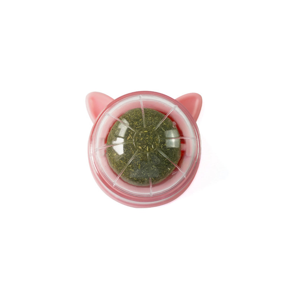 Wall-Mounted Chew Ball Dog Toy