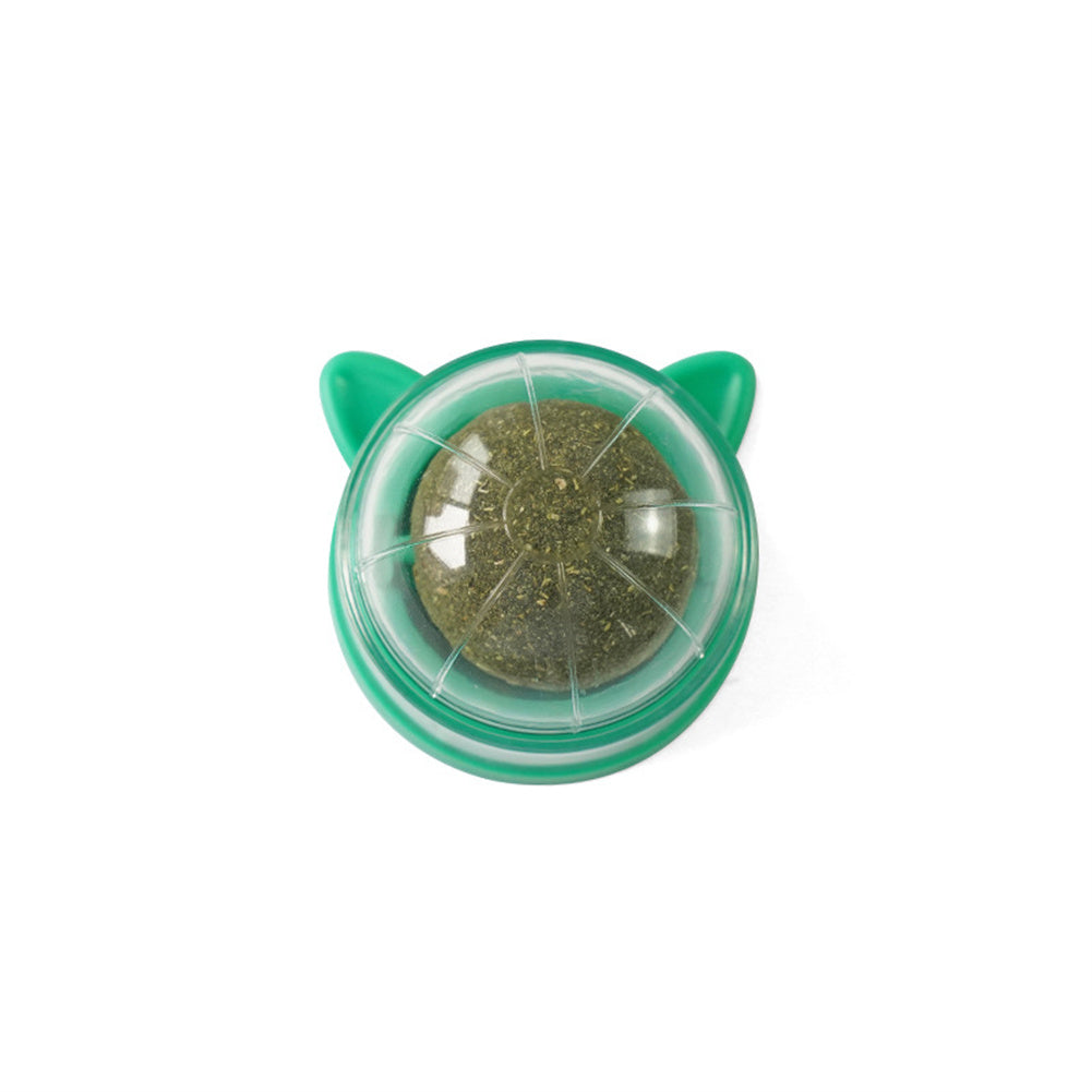 Wall-Mounted Chew Ball Dog Toy