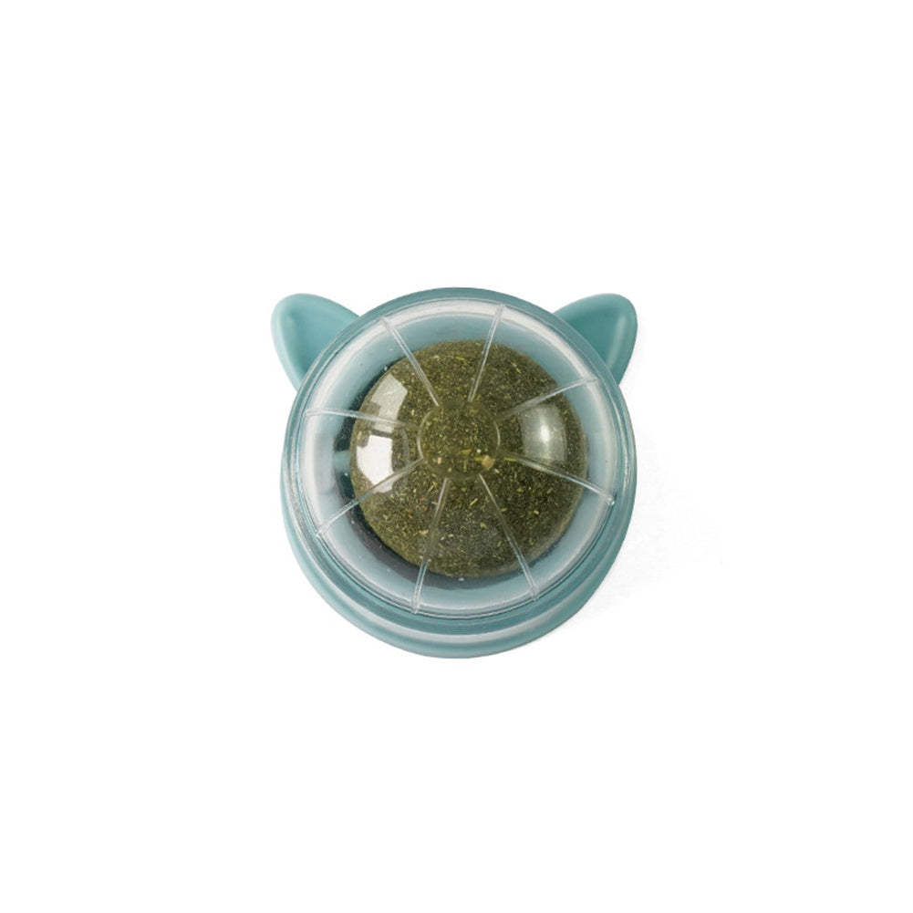 Wall-Mounted Chew Ball Dog Toy