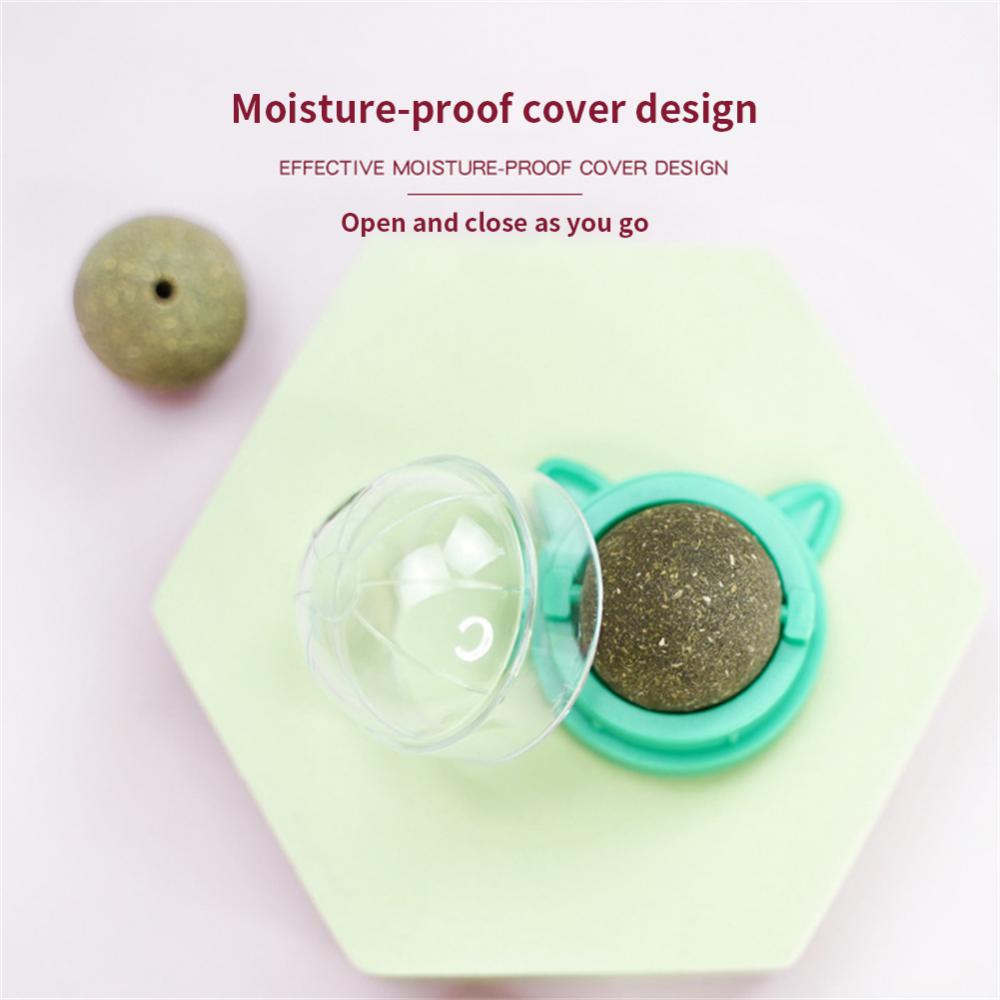 Wall-Mounted Chew Ball Dog Toy