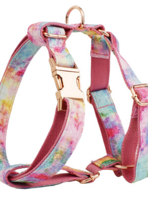 Rainbow Love Detachable Bow Tie Dog Collar Leash Set