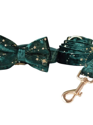 Starry Night Emerald Green Velvet Dog Leash