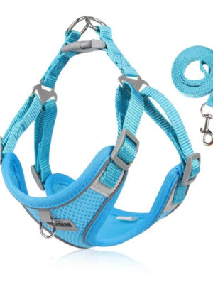 Reflective Dog Vest and Leash Set