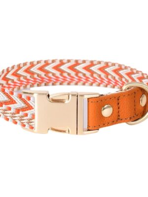 Classic Webbing Leather Dog Collar